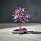 Amethyst Feng shui Crystal Tree of Wealth | Spiritual Healing Décor with Cluster Base - Auratract